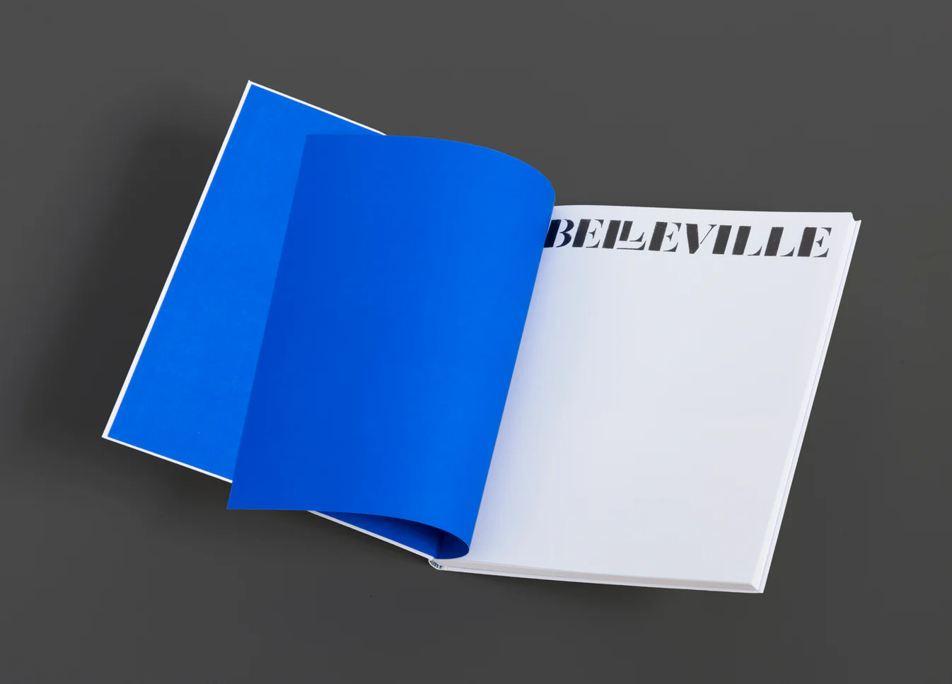 Belleville — photograph